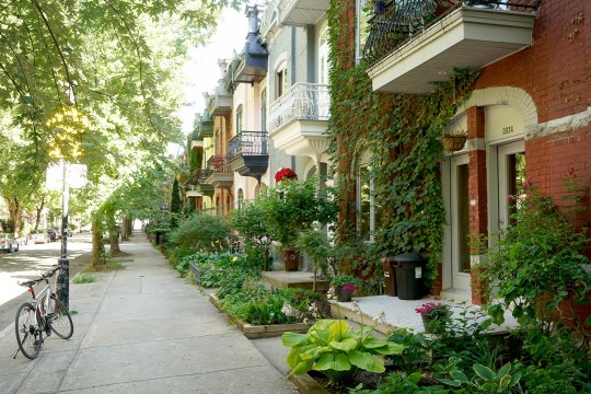 intérieur d'un commerce de l'Avenue Montréal