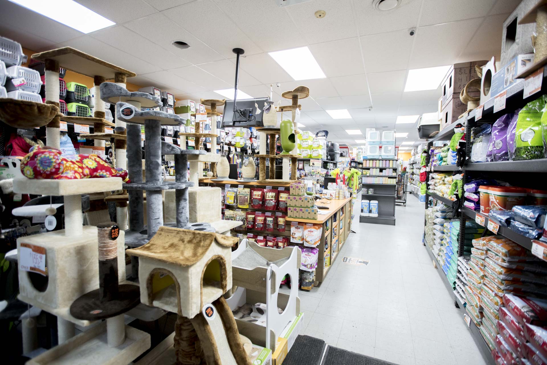 Chico boutique 3