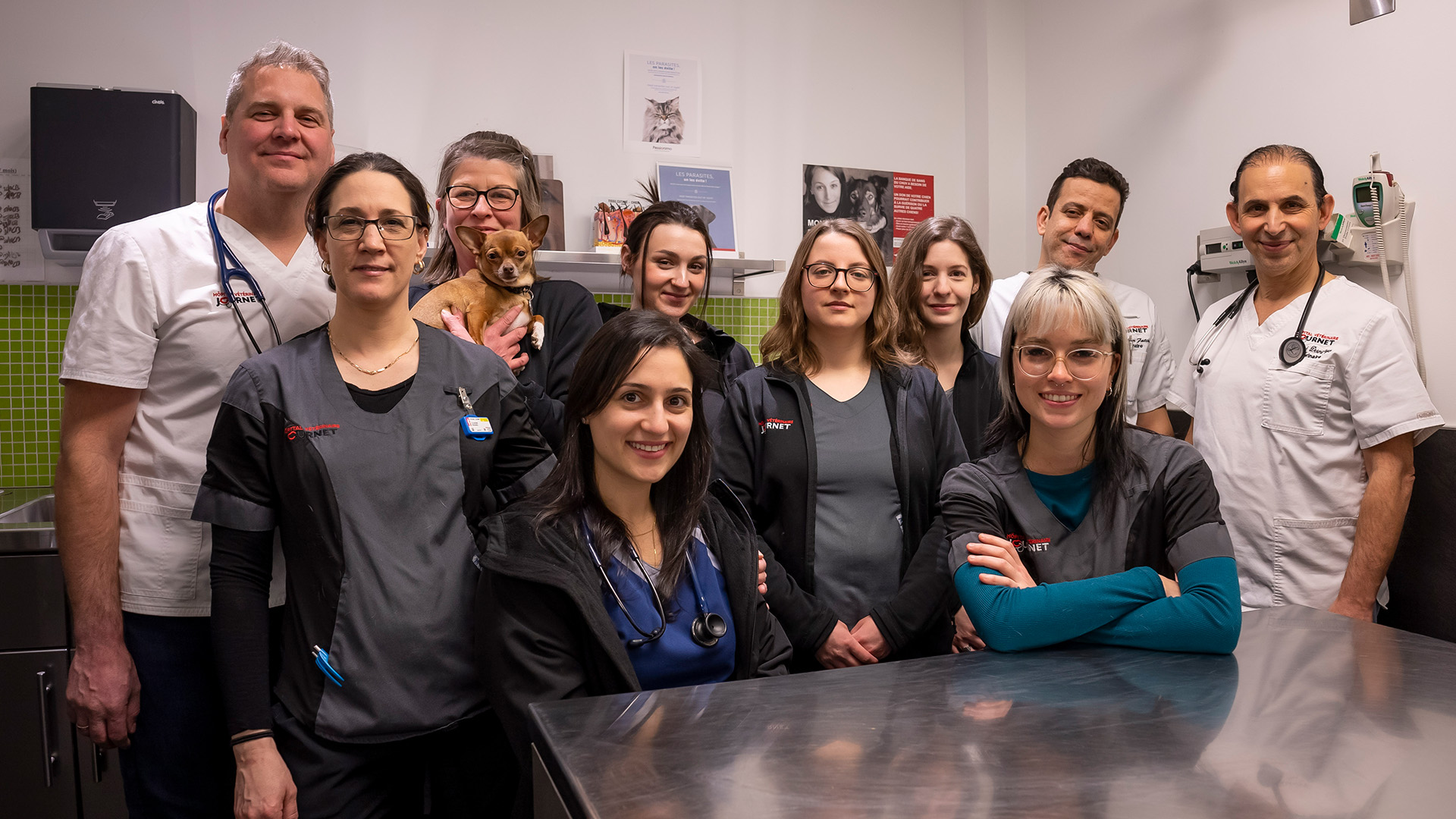 Les Essentiels de l'Avenue : L'hôpital vétérinaire