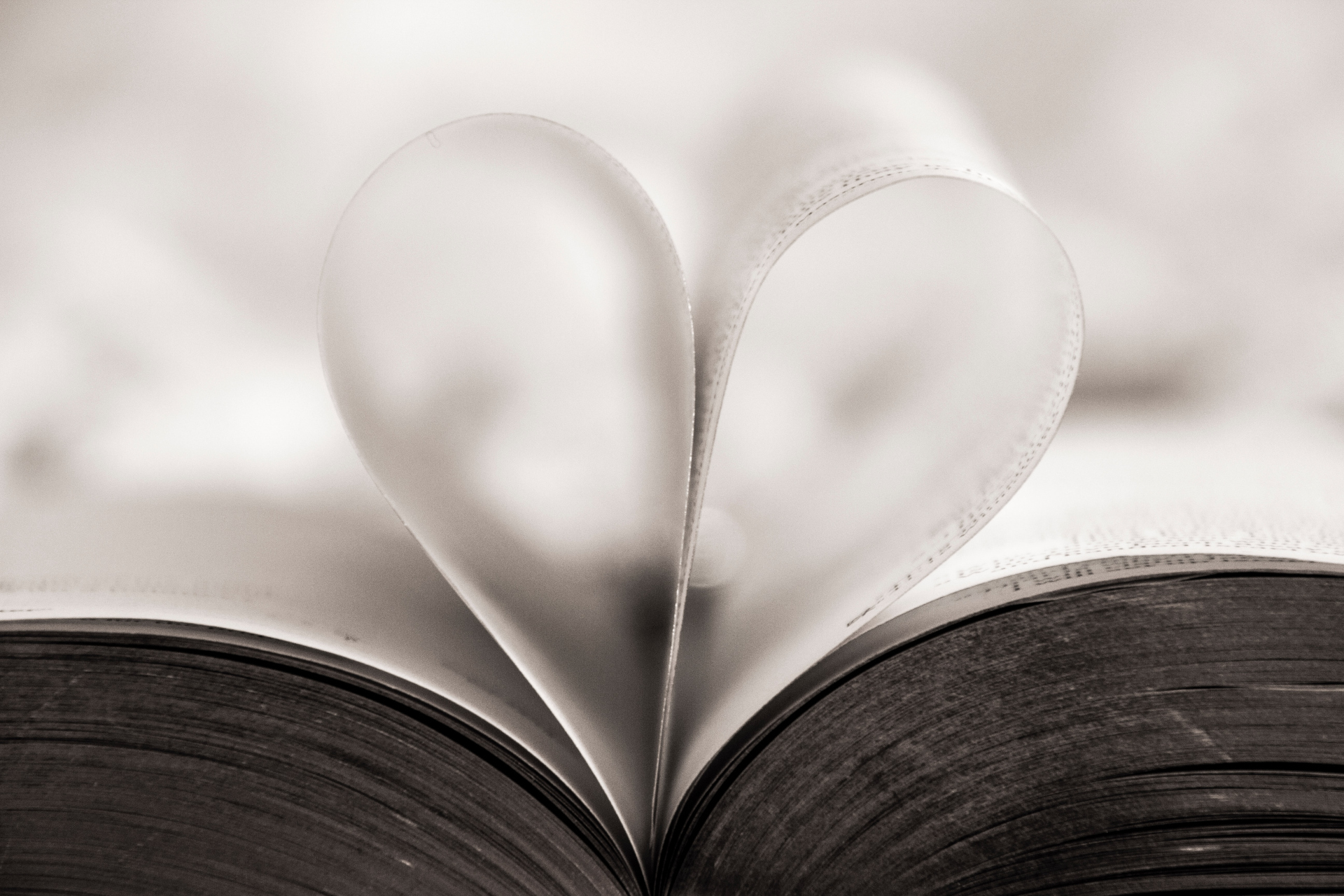 Lectures pour la St-Valentin: des suggestions de nos libraires