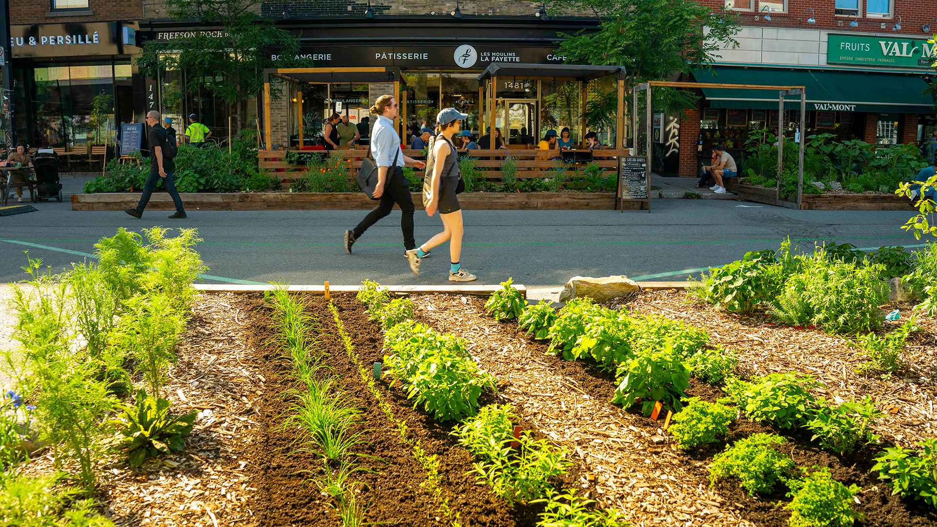 Une invitation au Jardin nourricier de l’avenue du Mont-Royal !