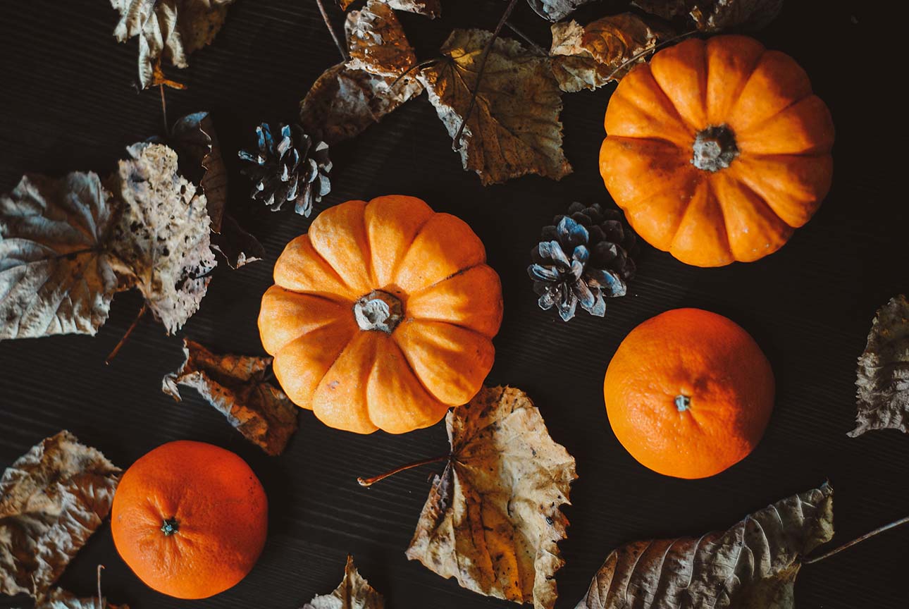 Randonnée et cuisine d'automne