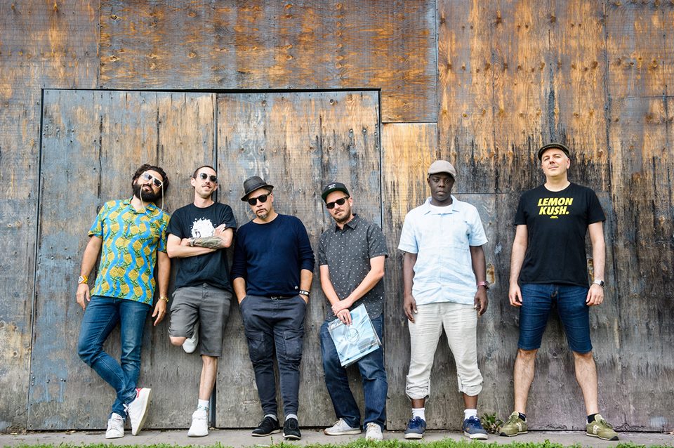 BBQ dans le parc- Pull-up Selecta