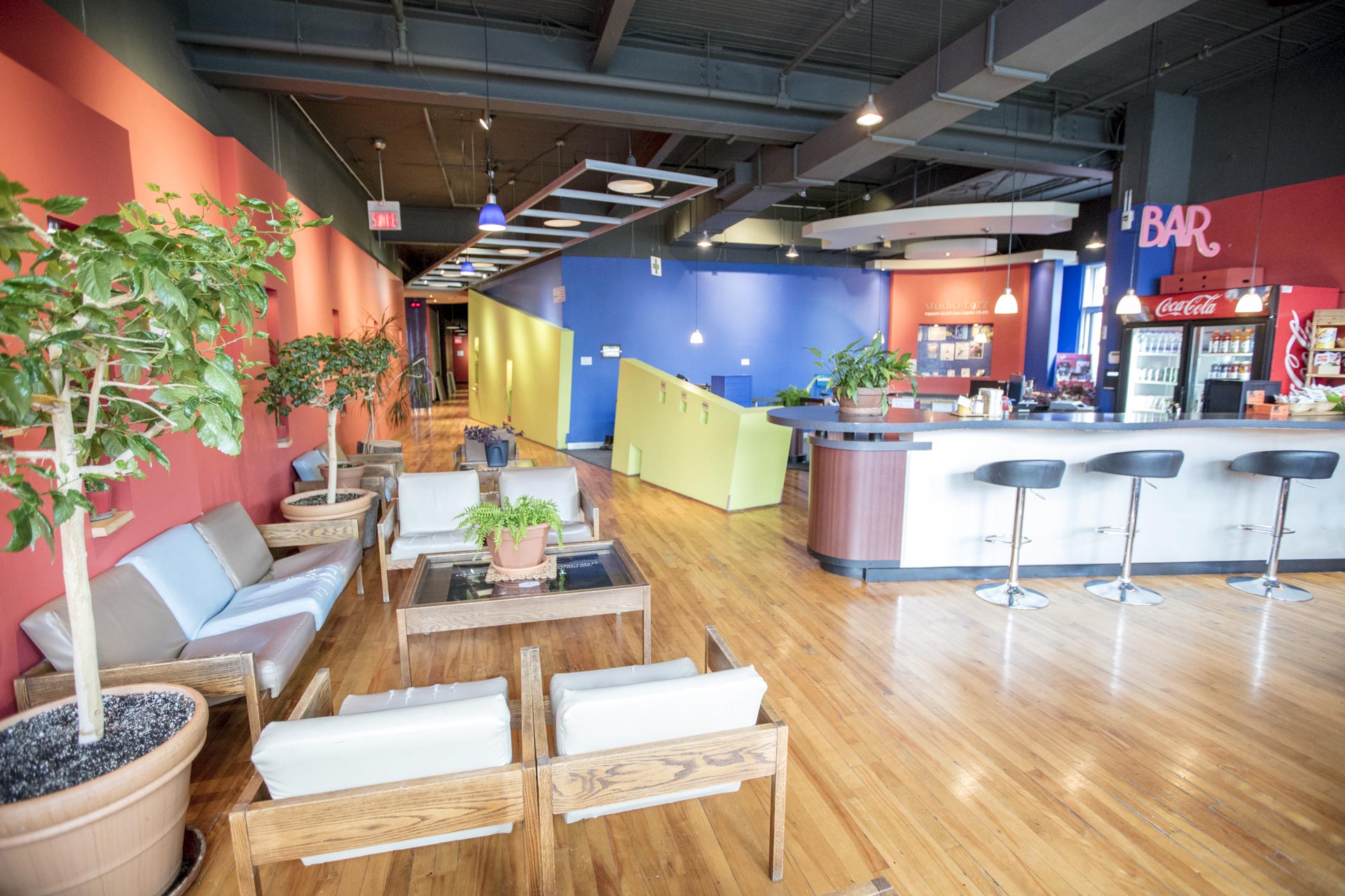 Studio Bizz Mont-Royal